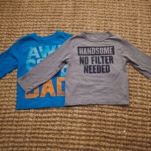 Boys' Graphic Long Sleeve Shirts - Blue and Gray
